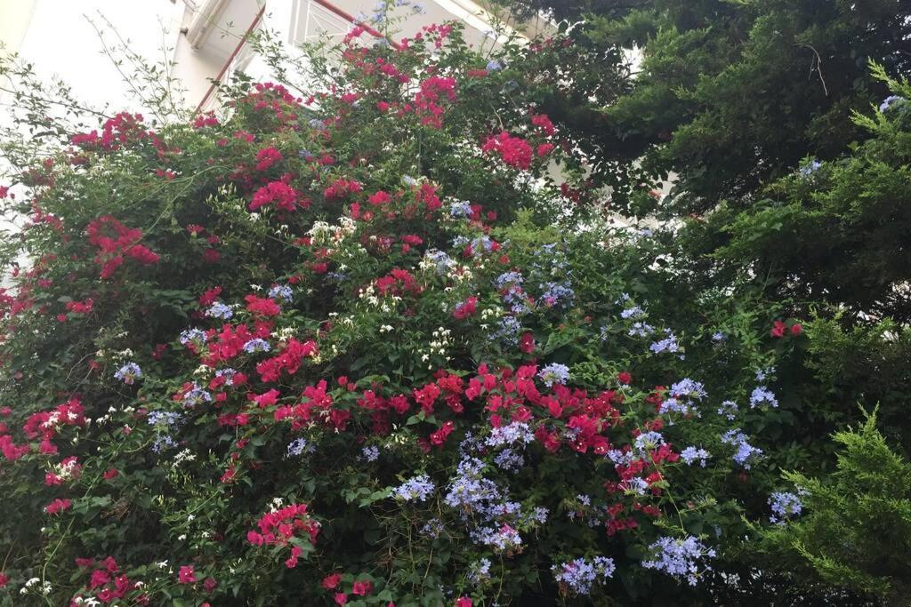 אתונה Two Bedroom Apartment Near Alimos Marina ! מראה חיצוני תמונה